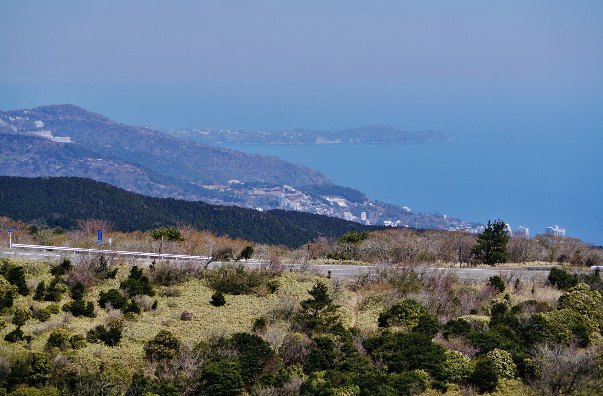 伊豆スカイライン実景・山稜を走る道